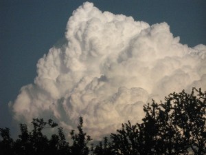 bloomington cloud